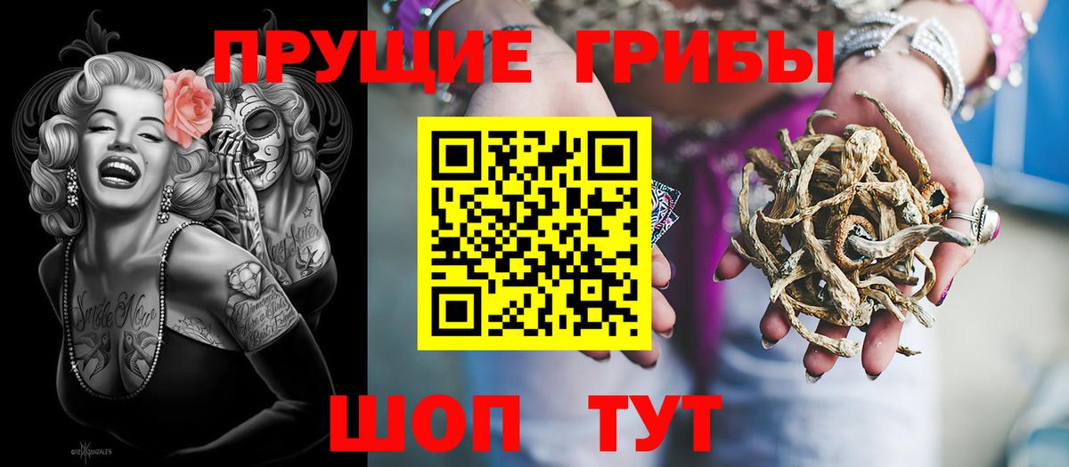 Советский  Галлюциногенные грибы MAGIC MUSHROOMS  Псилоцибиновые грибы прущие грибы  Вход с VPN 