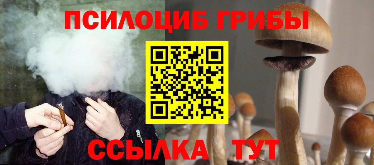 Псилоцибиновые грибы мицелий Советский