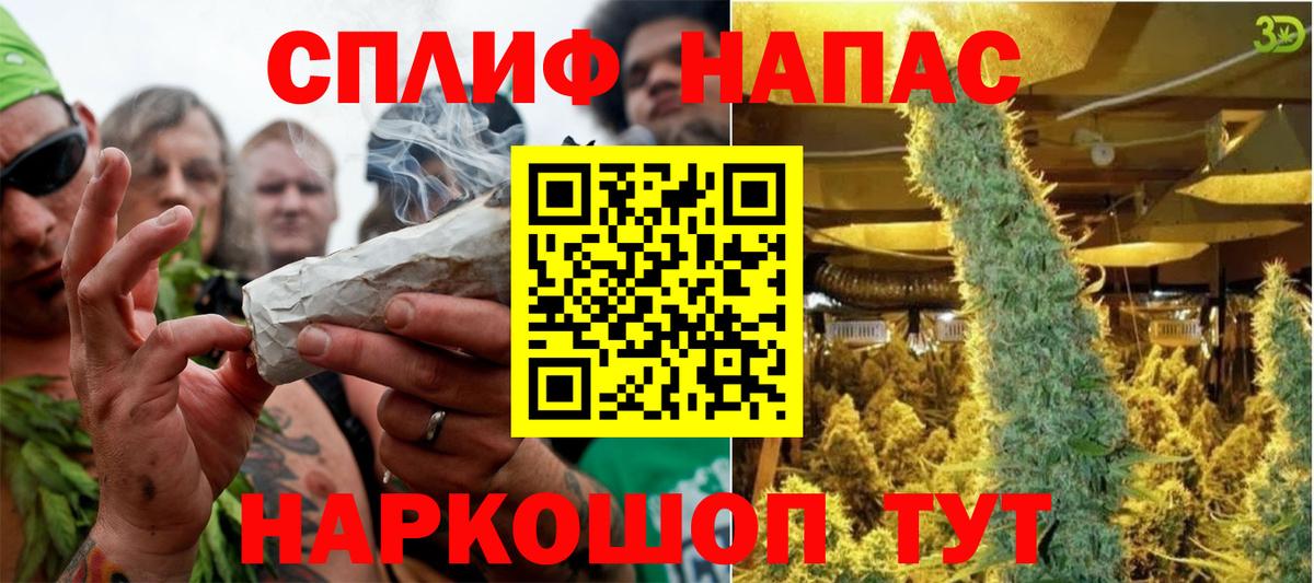 Канабис индика  Канабис план  Вход с VPN  Советский  Канабис сатива 